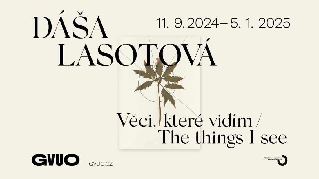 DÁŠA LASOTOVÁ / The things I see