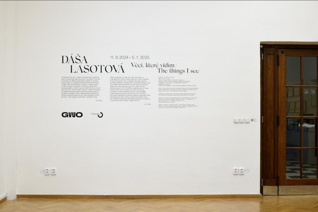 DÁŠA LASOTOVÁ / The things I see